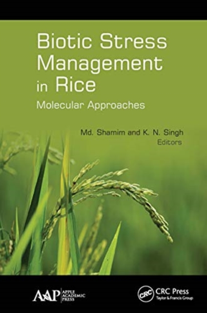 Biotic Stress Management in Rice : Molecular Approaches, Paperback / softback Book