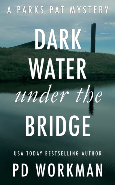 Dark Water Under the Bridge : A quick-read police procedural set in picturesque Canada, Paperback / softback Book