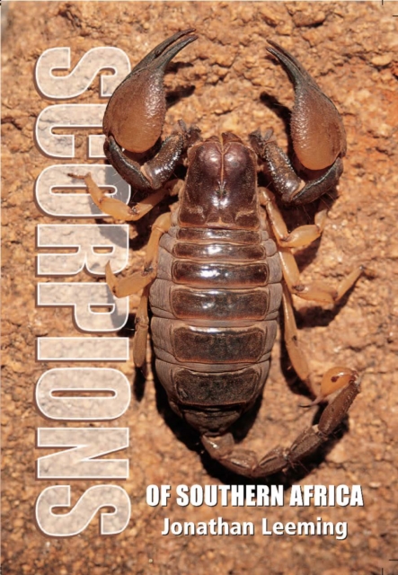 Scorpions of Southern Africa, PDF eBook