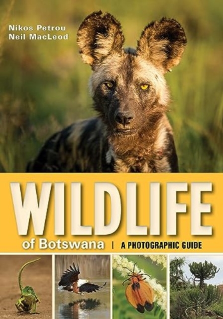 Wildlife of Botswana : A Photographic Guide, Paperback / softback Book