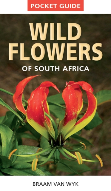 Pocket Guide to Wildflowers of South Africa, EPUB eBook