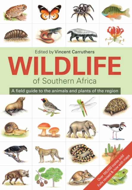 The Wildlife of Southern Africa, Paperback / softback Book