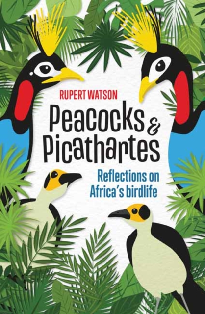 Peacocks and Picathartes : Reflections on Africa's Birdlife, Paperback / softback Book