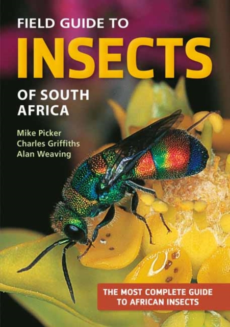 Field Guide to Insects of South Africa, Paperback / softback Book