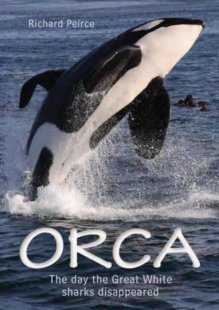 Orca : The day the Great White sharks disappeared, Paperback / softback Book