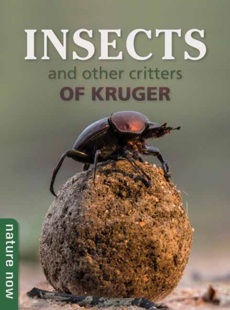 Insects and other Critters of Kruger, Paperback / softback Book