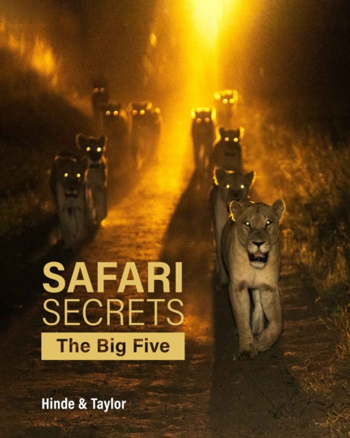 Safari Secrets : The Big Five, Hardback Book