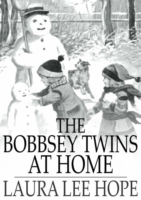 The Bobbsey Twins at Home, EPUB eBook