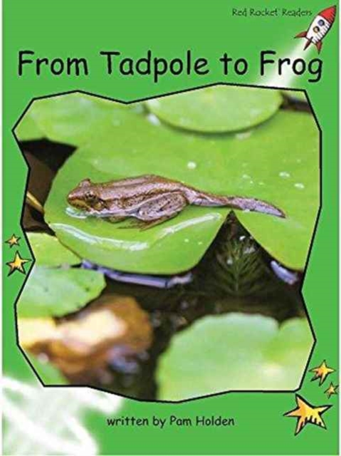 Red Rocket Readers : Early Level 4 Non-Fiction Set C: From Tadpole to Frog Big Book Edition (Reading Level 12/F&P Level H), Paperback / softback Book