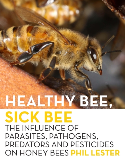 Healthy Bee, Sick Bee, Paperback / softback Book