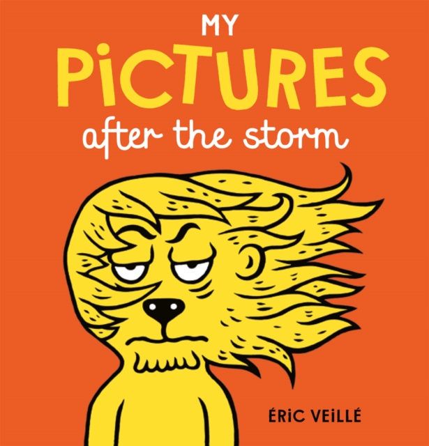 My Pictures After the Storm, Hardback Book