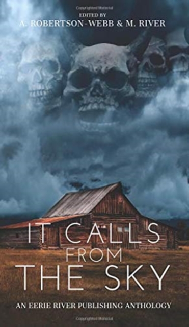 It Calls From the Sky : Terrifying Tales from Above, Hardback Book