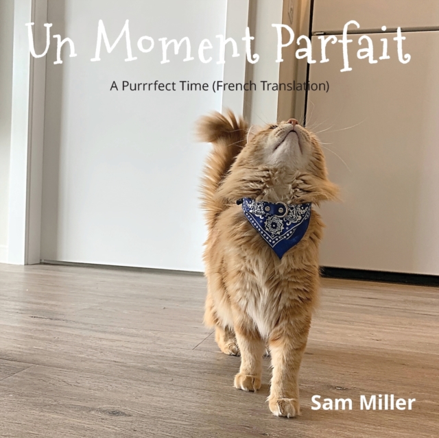 Un Moment Parfait, Paperback / softback Book