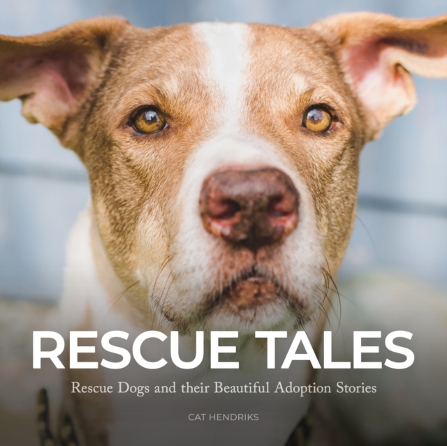 Rescue Tales : Rescue Dogs and their Beautiful Adoption Stories, Paperback / softback Book