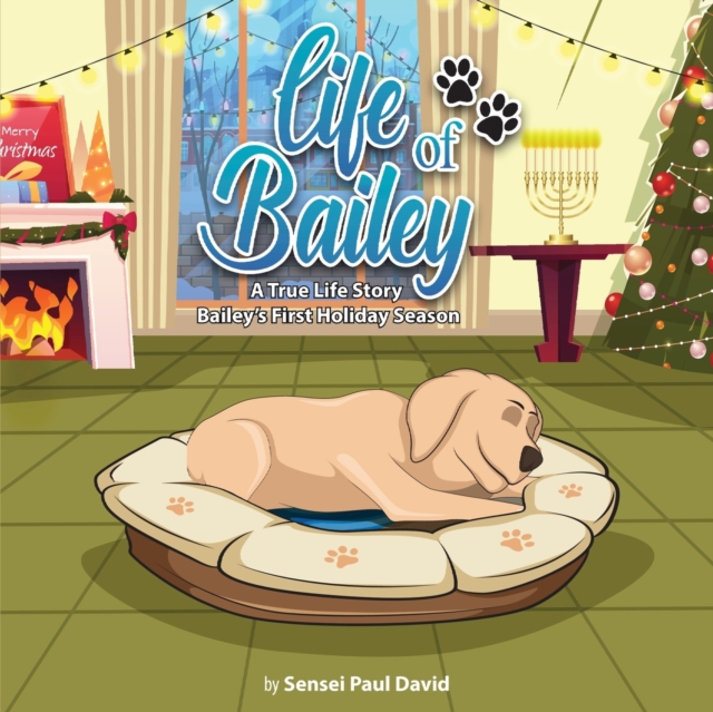 Life of Bailey : Bailey's First Holiday Season, Paperback / softback Book