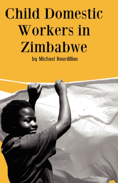 Child Domestic Workers in Zimbabwe, PDF eBook