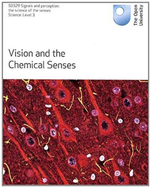 VISION & THE CHEMICAL SENSES, Paperback Book