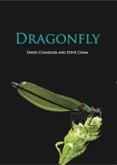 Dragonfly, Hardback Book