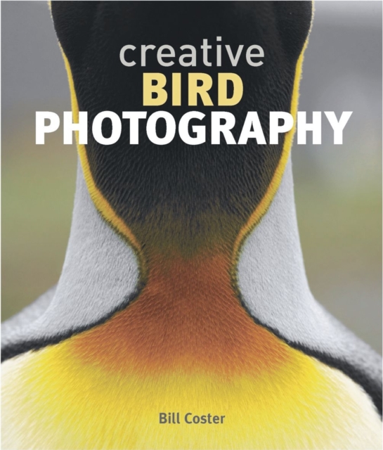 Creative Bird Photography, Paperback / softback Book