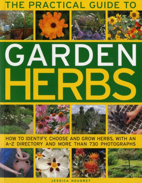 Practical Guide to Garden Herbs, Paperback / softback Book