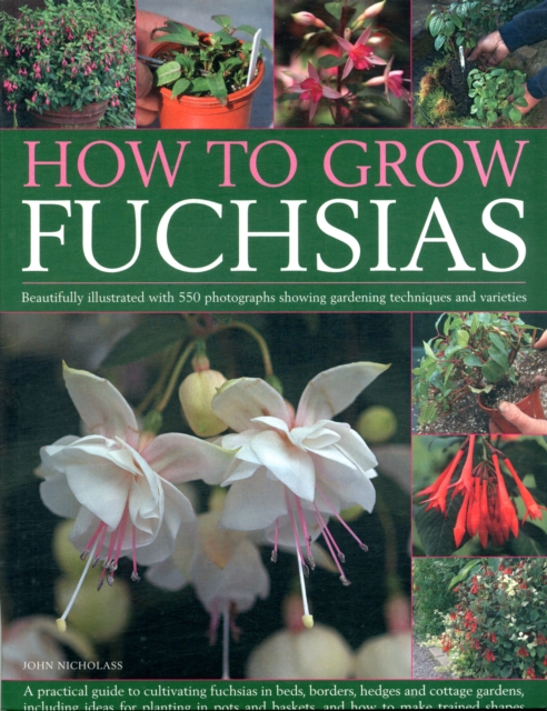 How to Grow Fuchsias, Paperback / softback Book