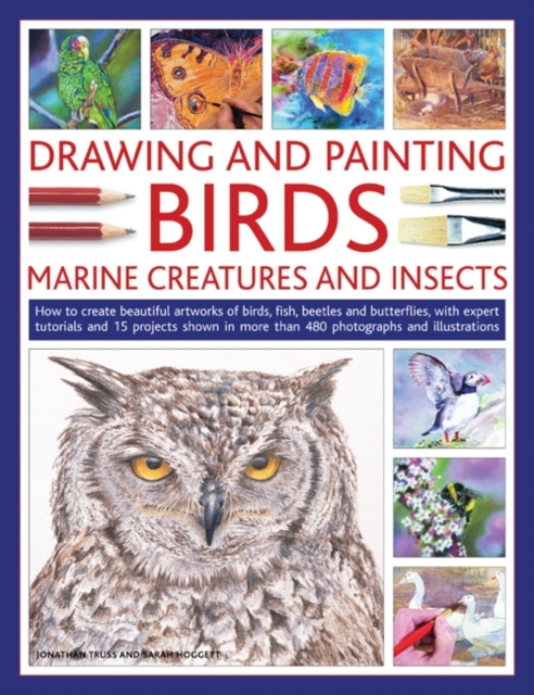 Drawing and Painting Birds, Marine Creatures and Insects, Paperback / softback Book
