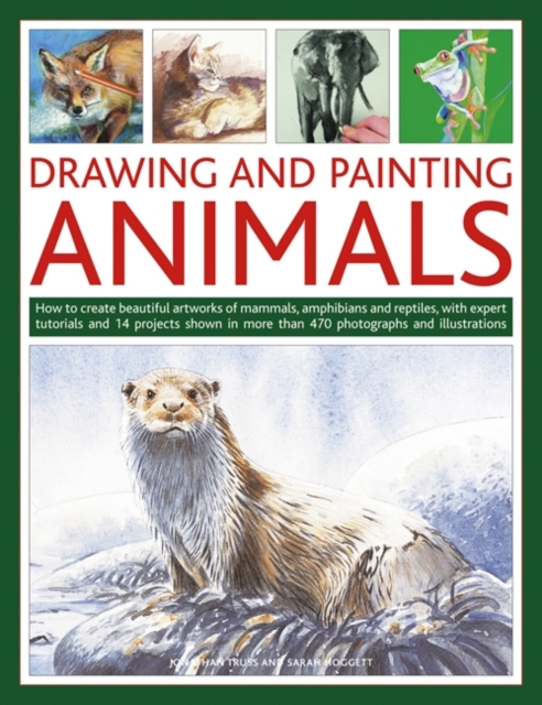 Drawing and Painting Animals, Paperback / softback Book