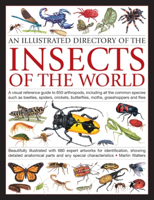 Illustrated Directory of Insects of the World : A Visual Reference Guide to 650 Arthropods, Including All the Common Species Such as Beetles, Spiders, Crickets, Butterflies, Moths, Grasshoppers and Fl, Paperback / softback Book