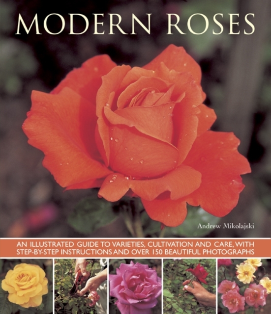 Modern Roses, Paperback / softback Book