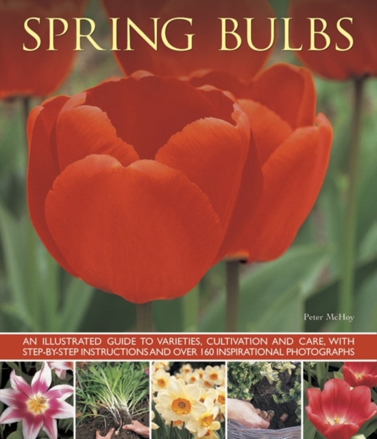 Spring Bulbs, Paperback / softback Book