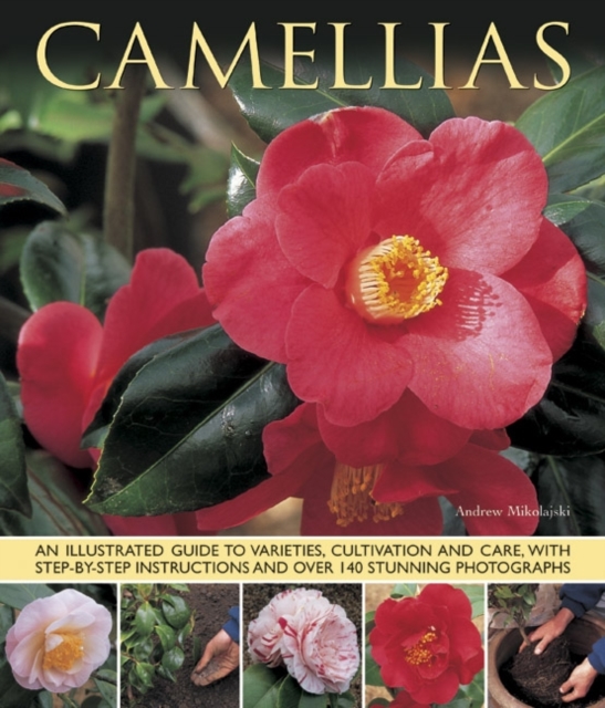 Camellias, Paperback / softback Book