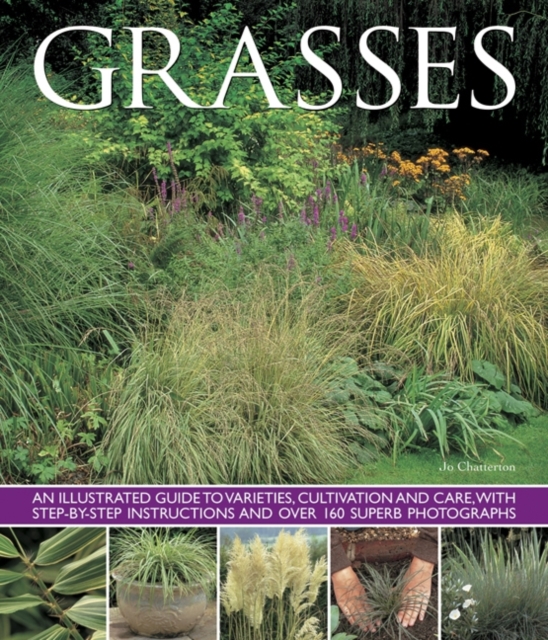 Grasses, Paperback / softback Book