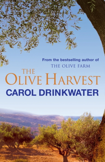 The Olive Harvest : A Memoir of Love, Old Trees, and Olive Oil, EPUB eBook
