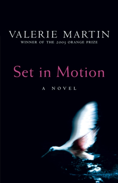 Set In Motion, EPUB eBook