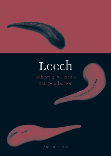 Leech, Paperback / softback Book