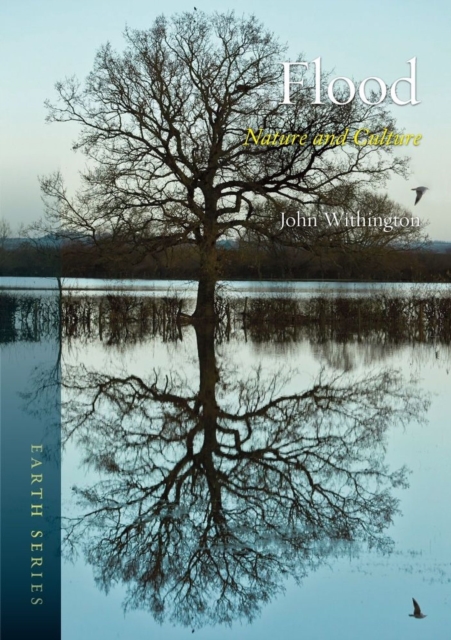 Flood : Nature and Culture, Paperback / softback Book
