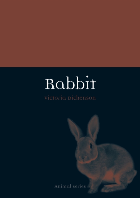 Rabbit, EPUB eBook