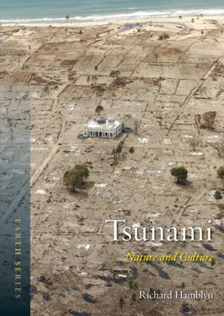 Tsunami : Nature and Culture, EPUB eBook