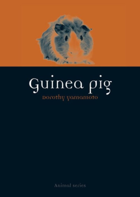 Guinea Pig, Paperback / softback Book