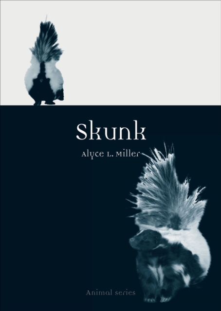 Skunk, Paperback / softback Book