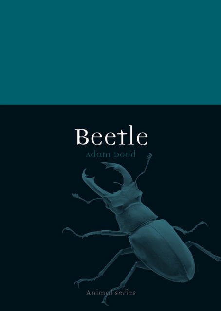 Beetle, EPUB eBook