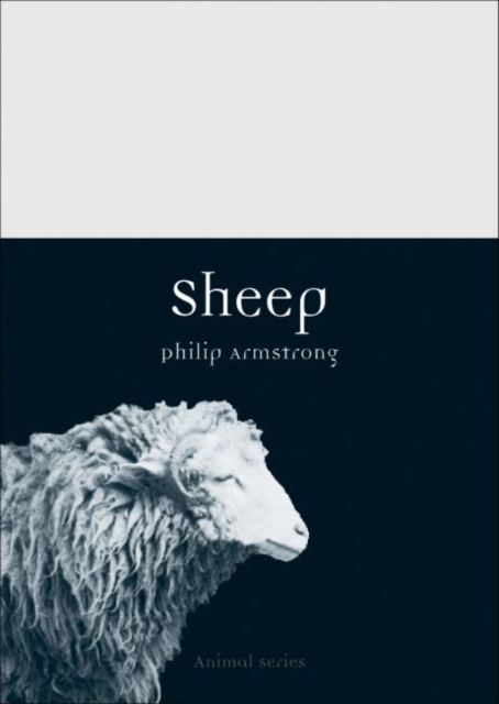 Sheep, Paperback / softback Book