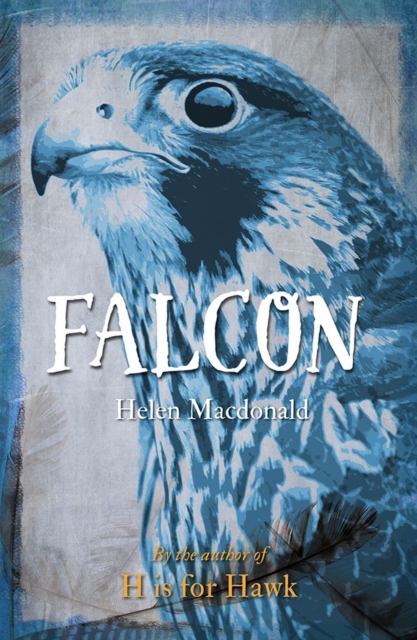 Falcon, Paperback / softback Book