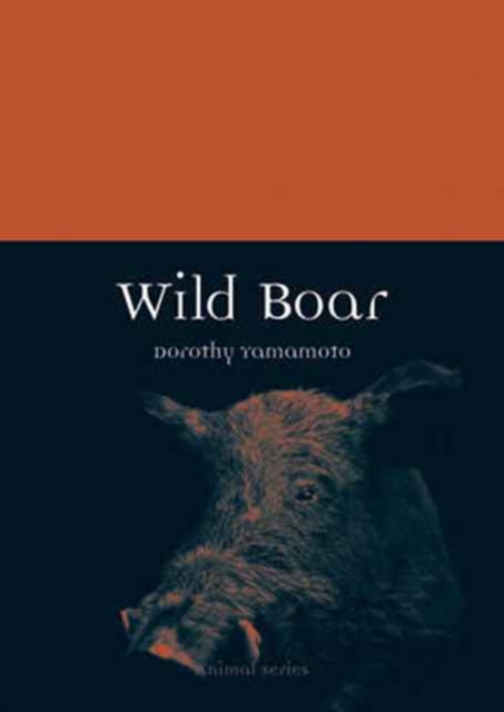 Wild Boar, Paperback / softback Book