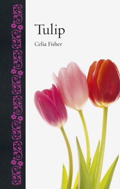 Tulip, EPUB eBook