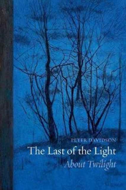 The Last of the Light : About Twilight, Paperback / softback Book