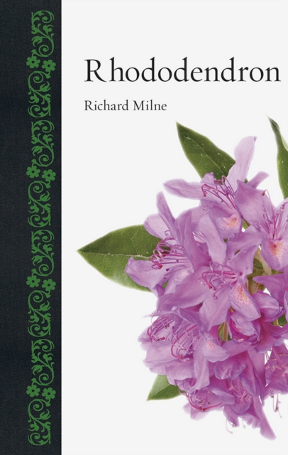 Rhododendron, EPUB eBook