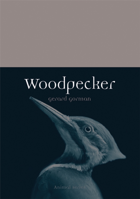 Woodpecker, EPUB eBook