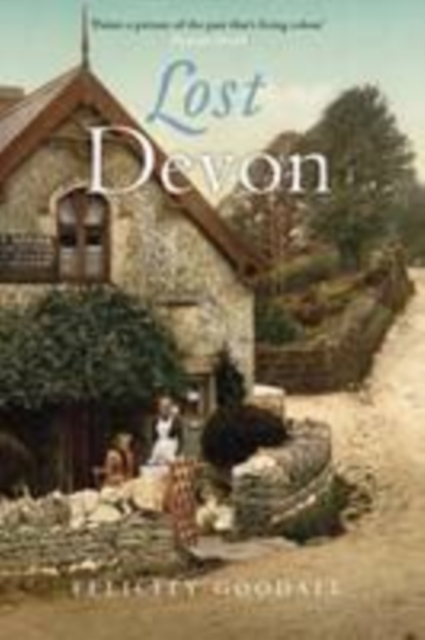 Lost Devon, Paperback / softback Book