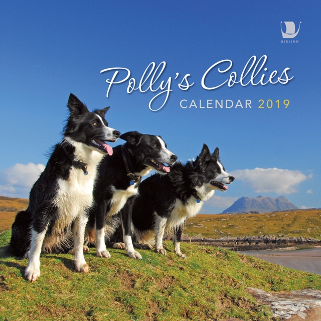 Polly's Collies Calendar 2019, Calendar Book